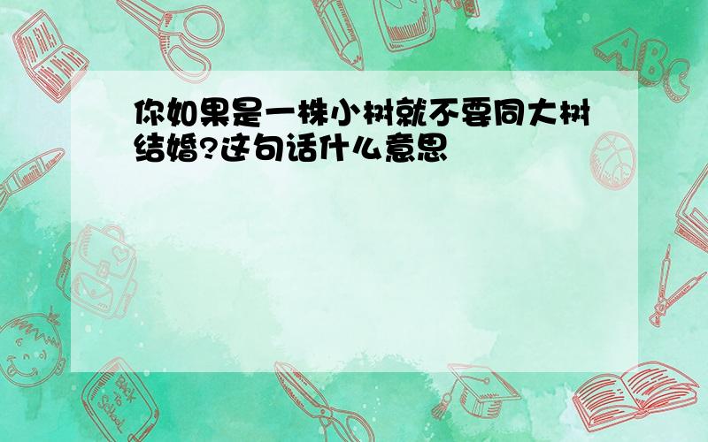 你如果是一株小树就不要同大树结婚?这句话什么意思