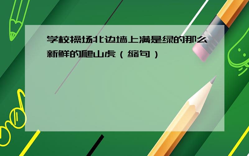 学校操场北边墙上满是绿的那么新鲜的爬山虎（缩句）