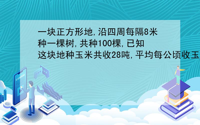 一块正方形地,沿四周每隔8米种一棵树,共种100棵,已知这块地种玉米共收28吨,平均每公顷收玉米多少吨?