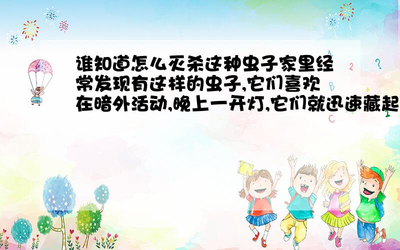 谁知道怎么灭杀这种虫子家里经常发现有这样的虫子,它们喜欢在暗外活动,晚上一开灯,它们就迅速藏起来,爬行速度非常快,不知道是什么虫子,怎么灭杀,