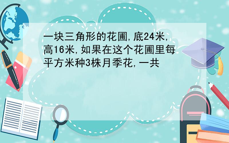 一块三角形的花圃,底24米,高16米,如果在这个花圃里每平方米种3株月季花,一共