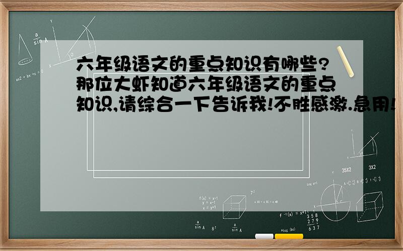 六年级语文的重点知识有哪些?那位大虾知道六年级语文的重点知识,请综合一下告诉我!不胜感激.急用!