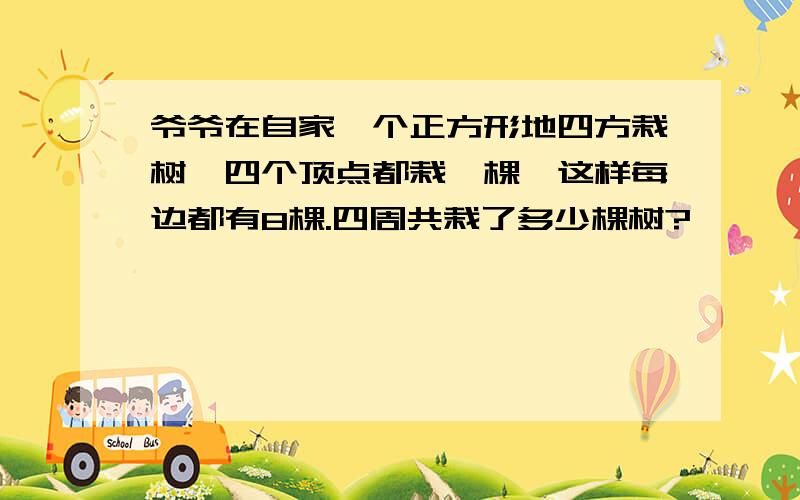 爷爷在自家一个正方形地四方栽树,四个顶点都栽一棵,这样每边都有8棵.四周共栽了多少棵树?