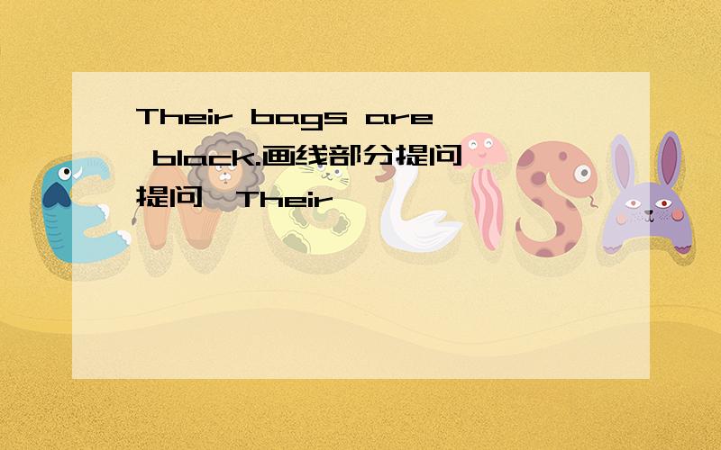 Their bags are black.画线部分提问,提问,Their