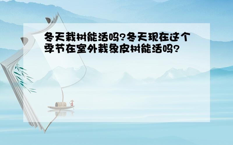 冬天栽树能活吗?冬天现在这个季节在室外栽象皮树能活吗?