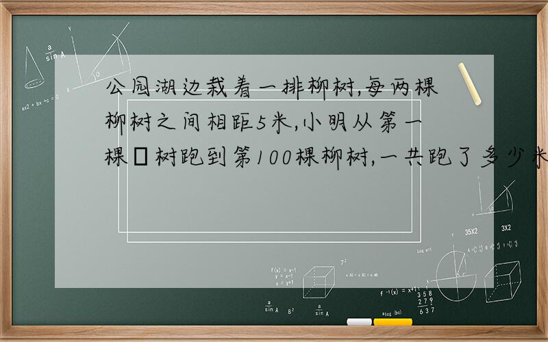 公园湖边栽着一排柳树,每两棵柳树之间相距5米,小明从第一棵枊树跑到第100棵柳树,一共跑了多少米?