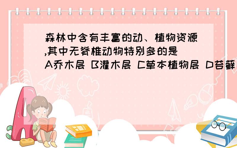 森林中含有丰富的动、植物资源,其中无脊椎动物特别多的是 A乔木层 B灌木层 C草本植物层 D苔藓、地衣层