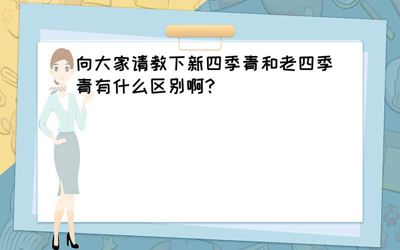 向大家请教下新四季青和老四季青有什么区别啊?