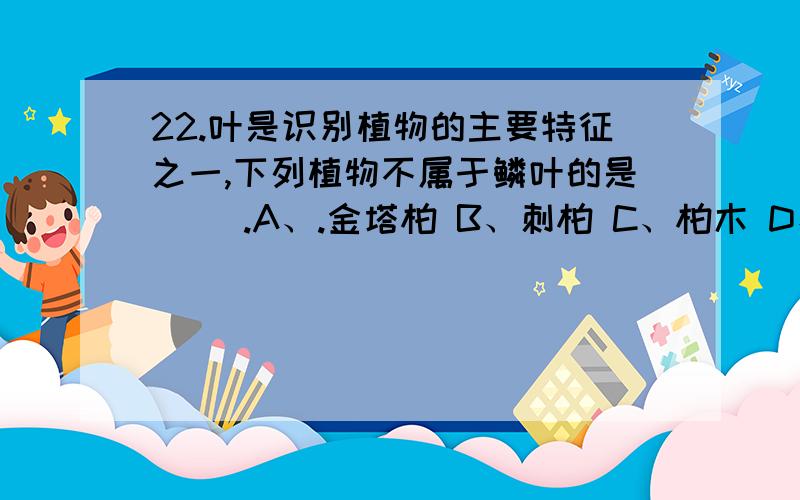 22.叶是识别植物的主要特征之一,下列植物不属于鳞叶的是（ ）.A、.金塔柏 B、刺柏 C、柏木 D、侧柏22.叶是识别植物的主要特征之一,下列植物不属于鳞叶的是（ ）.A、.金塔柏 B、刺柏 C、柏