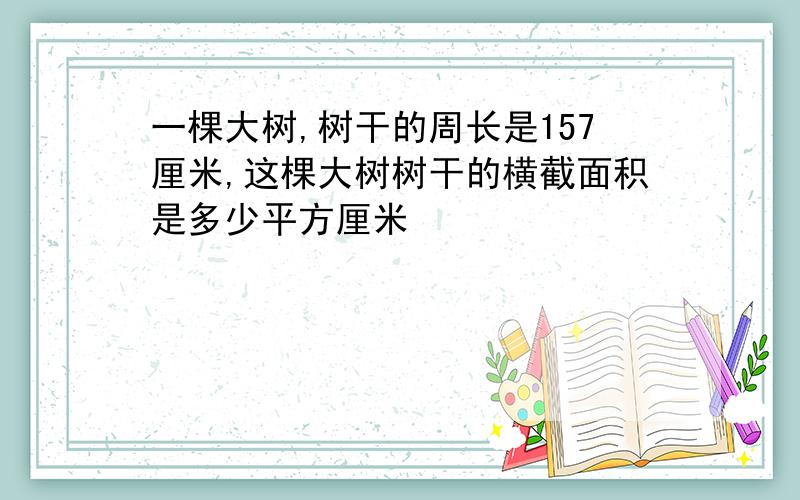 一棵大树,树干的周长是157厘米,这棵大树树干的横截面积是多少平方厘米