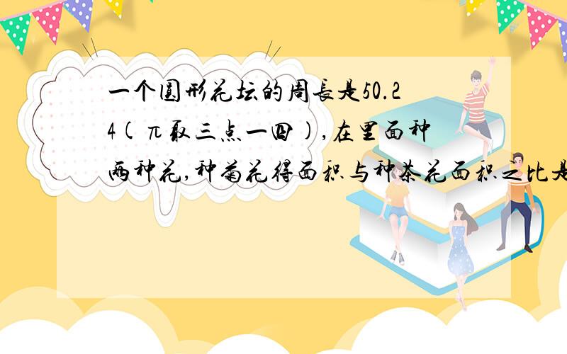 一个圆形花坛的周长是50.24(π取三点一四),在里面种两种花,种菊花得面积与种茶花面积之比是5：3,这两种花的面积分别是：a：40π平方米 24π平方米b：5π平方米,3π平方米C：64π平方米,8π平方