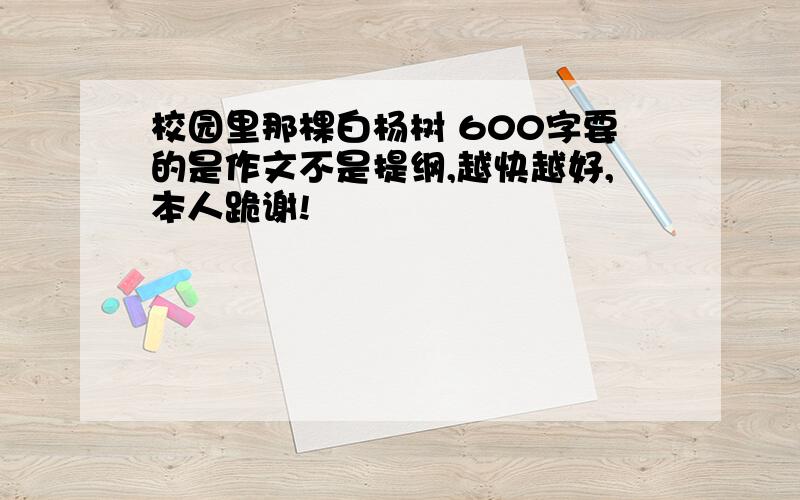 校园里那棵白杨树 600字要的是作文不是提纲,越快越好,本人跪谢!