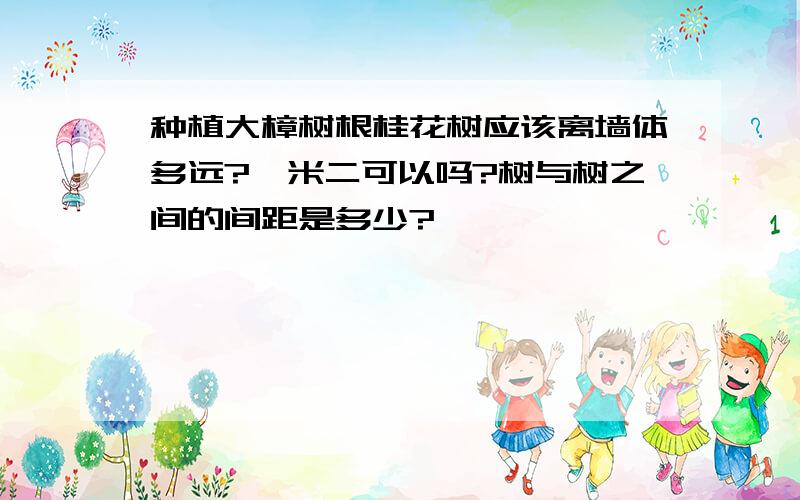 种植大樟树根桂花树应该离墙体多远?一米二可以吗?树与树之间的间距是多少?