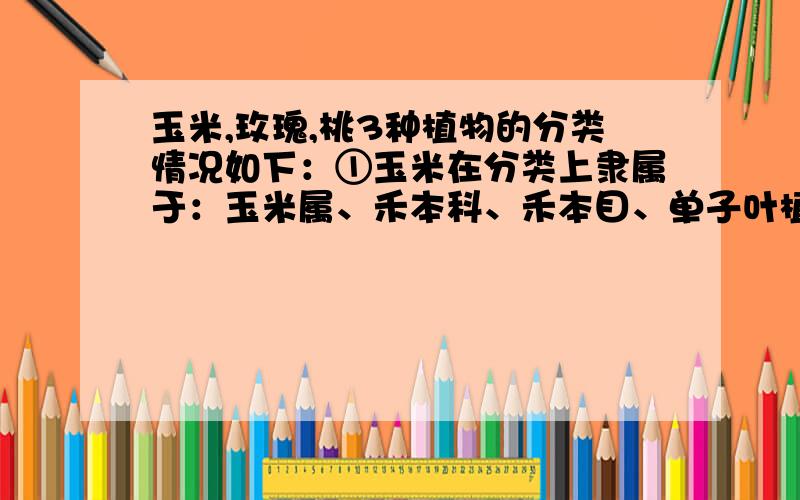 玉米,玫瑰,桃3种植物的分类情况如下：①玉米在分类上隶属于：玉米属、禾本科、禾本目、单子叶植物纲、种子植物们；②玫瑰在分类上隶属于：蔷薇属、蔷薇科、蔷薇目、双子叶植物纲、