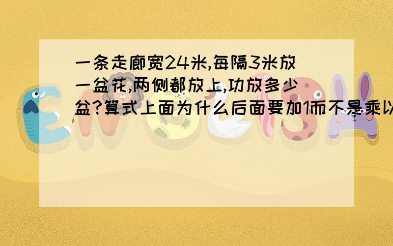 一条走廊宽24米,每隔3米放一盆花,两侧都放上,功放多少盆?算式上面为什么后面要加1而不是乘以2?