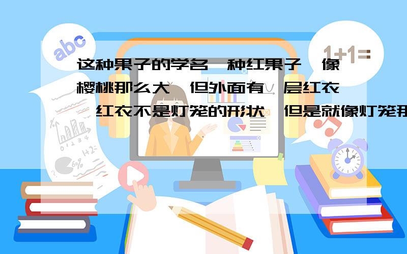 这种果子的学名一种红果子,像樱桃那么大,但外面有一层红衣,红衣不是灯笼的形状,但是就像灯笼那样过着灯泡那样包裹着红果,果子可以吃,也可以泡茶,有下火的功效.不是树上结的。