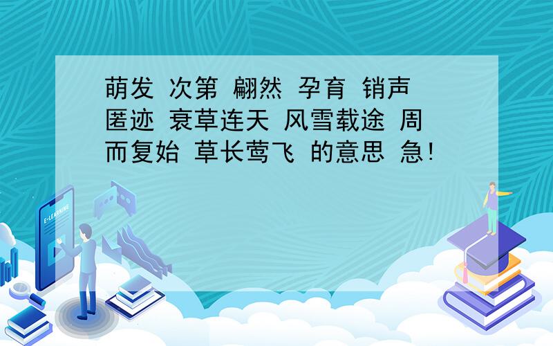 萌发 次第 翩然 孕育 销声匿迹 衰草连天 风雪载途 周而复始 草长莺飞 的意思 急!