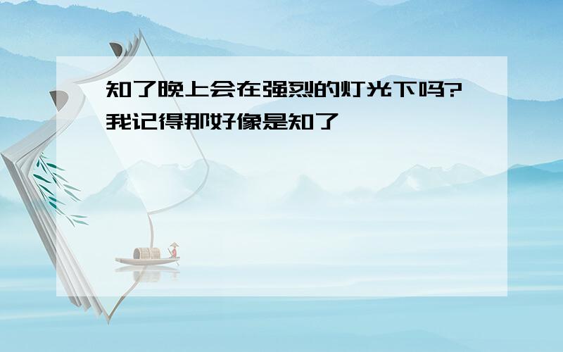 知了晚上会在强烈的灯光下吗?我记得那好像是知了