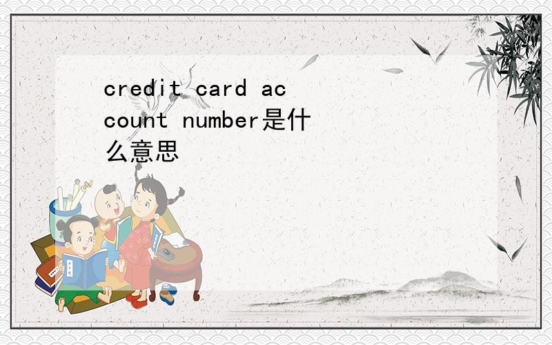 credit card account number是什么意思