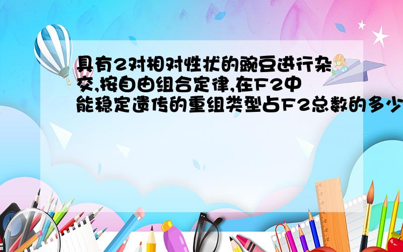 具有2对相对性状的豌豆进行杂交,按自由组合定律,在F2中能稳定遗传的重组类型占F2总数的多少?