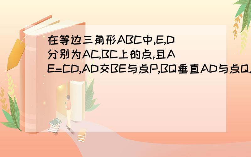 在等边三角形ABC中,E,D分别为AC,BC上的点,且AE=CD,AD交BE与点P,BQ垂直AD与点Q.试证明：BP=2PQ