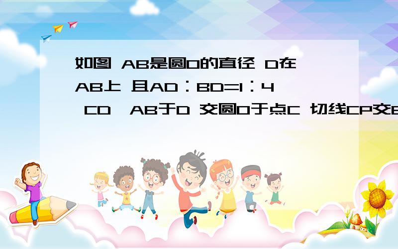 如图 AB是圆O的直径 D在AB上 且AD：BD=1：4 CD⊥AB于D 交圆O于点C 切线CP交BA延长线于P若AD、BD是关于x的方程x^2-(4m+2)x+4m^2=0(m＞0）的两根 试求CD、PC的长CD=4,PC=3分之20 //）