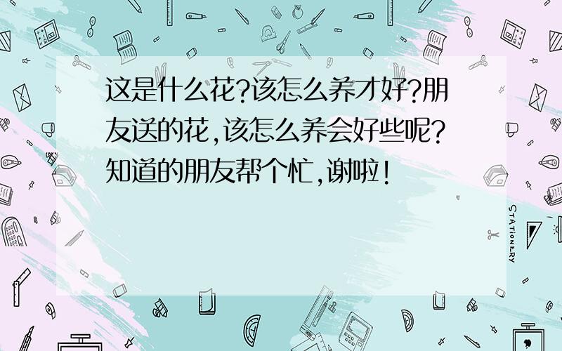 这是什么花?该怎么养才好?朋友送的花,该怎么养会好些呢?知道的朋友帮个忙,谢啦!