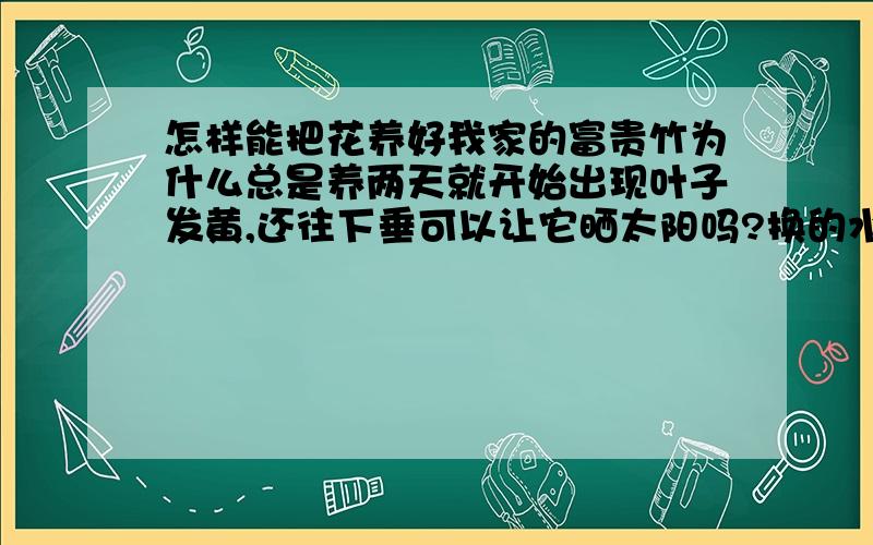 怎样能把花养好我家的富贵竹为什么总是养两天就开始出现叶子发黄,还往下垂可以让它晒太阳吗?换的水需要沉淀一下吗?卖的营养液可以给花用吗?