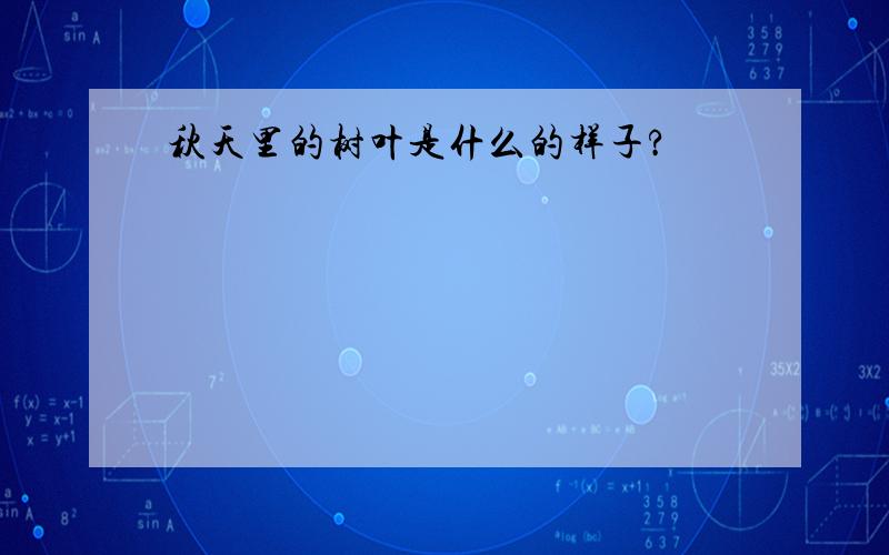 秋天里的树叶是什么的样子?