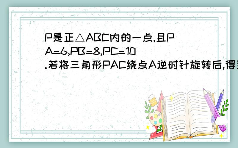 P是正△ABC内的一点,且PA=6,PB=8,PC=10.若将三角形PAC绕点A逆时针旋转后,得到△P'AB.(1)求点P与点P'之的距离；（2）求∠APB的度数.