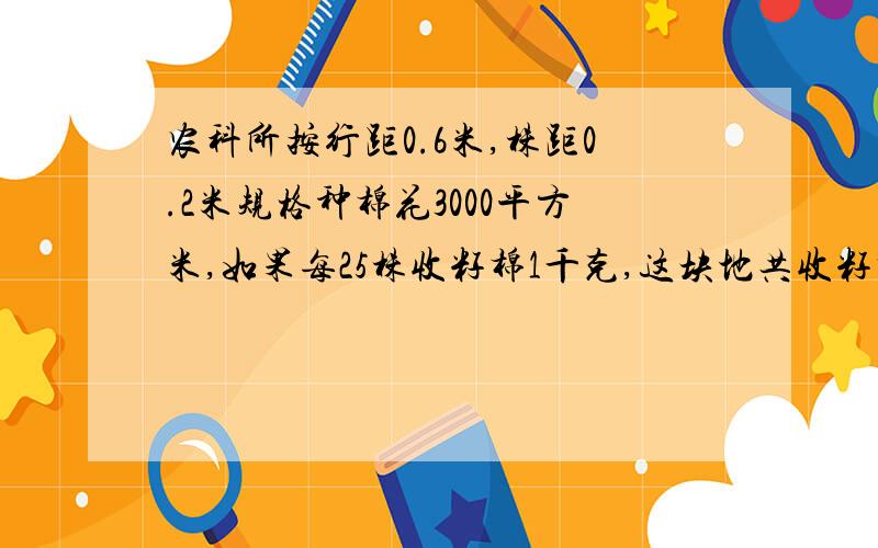 农科所按行距0.6米,株距0.2米规格种棉花3000平方米,如果每25株收籽棉1千克,这块地共收籽棉多少千克?