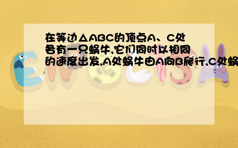 在等边△ABC的顶点A、C处各有一只蜗牛,它们同时以相同的速度出发,A处蜗牛由A向B爬行,C处蜗牛由C向A爬行,经过一段时间后,它们分别爬到了D、E两点处,设DC与BE相交于F点．蜗牛在爬行过程中,DC