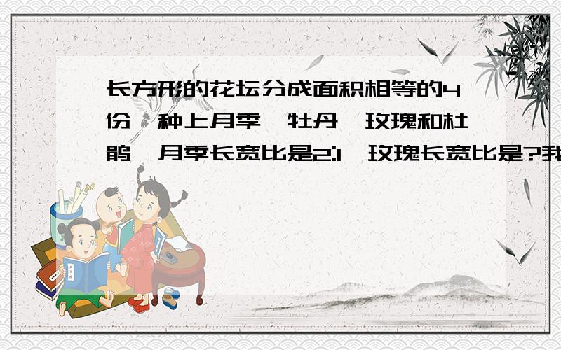 长方形的花坛分成面积相等的4份,种上月季、牡丹、玫瑰和杜鹃,月季长宽比是2:1,玫瑰长宽比是?我操~么人回答是吧~呵……人死哪去了啊!