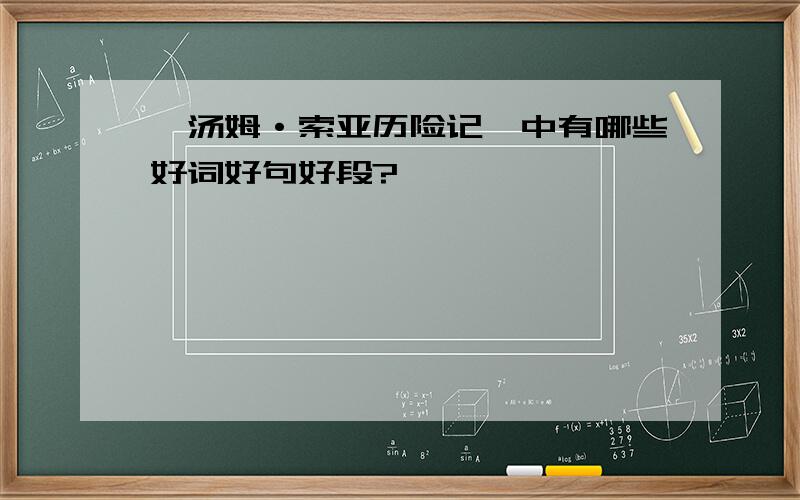 《汤姆·索亚历险记》中有哪些好词好句好段?