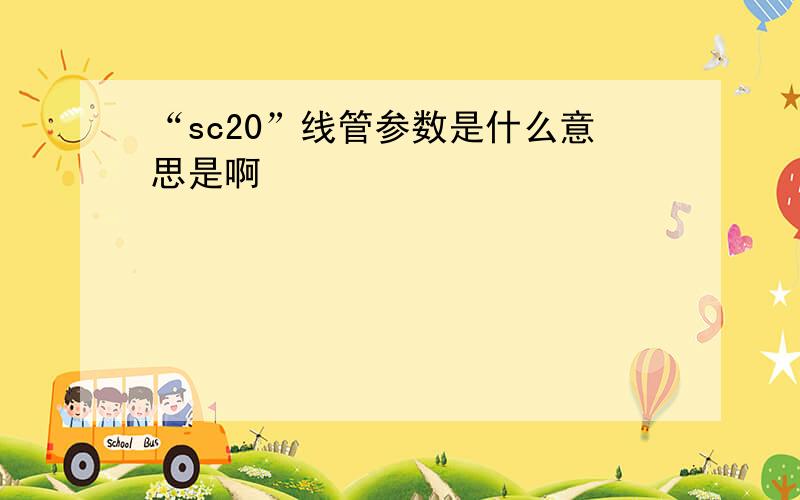 “sc20”线管参数是什么意思是啊