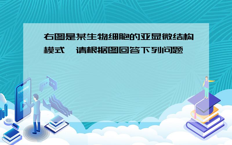 右图是某生物细胞的亚显微结构模式,请根据图回答下列问题