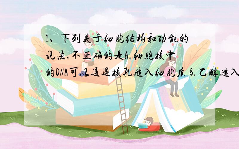 1、下列关于细胞结构和功能的说法,不正确的是A.细胞核中的DNA可以通过核孔进入细胞质 B.乙醇进入组织细胞的量取决于组织液中乙醇的浓度C.内质网膜可直接连细胞膜,也可以直接连核膜、线