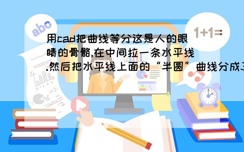 用cad把曲线等分这是人的眼睛的骨骼,在中间拉一条水平线.然后把水平线上面的“半圆”曲线分成30等分,下面部分的“半圆”曲线分成45等分,等分点都标出来.请问具体操作步骤,