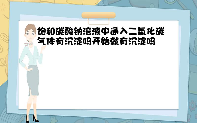 饱和碳酸钠溶液中通入二氧化碳气体有沉淀吗开始就有沉淀吗