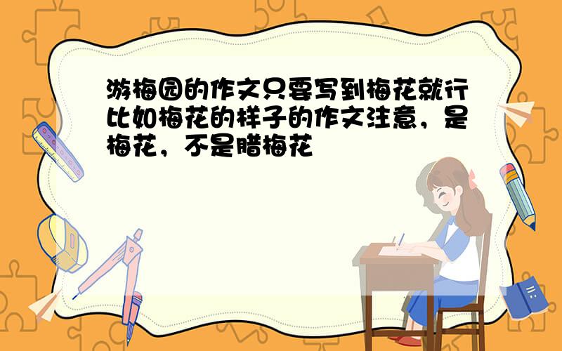 游梅园的作文只要写到梅花就行比如梅花的样子的作文注意，是梅花，不是腊梅花