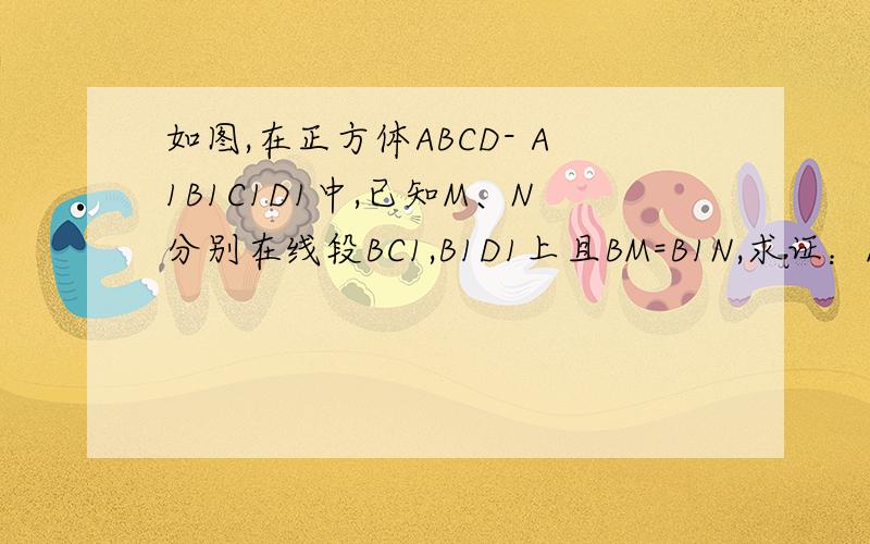 如图,在正方体ABCD- A1B1C1D1中,已知M、N分别在线段BC1,B1D1上且BM=B1N,求证：MN‖平面C1CDD1