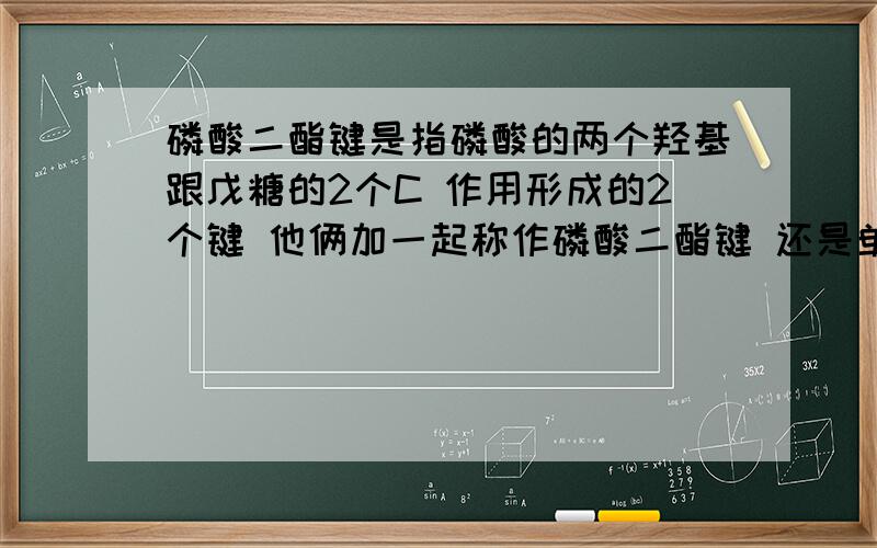 磷酸二酯键是指磷酸的两个羟基跟戊糖的2个C 作用形成的2个键 他俩加一起称作磷酸二酯键 还是单独1个键就叫磷酸二酯键?还有 用限制酶切磷酸二酯键的时候是两个都切 还是只切3~的那个键?