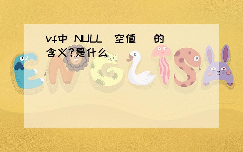 vf中 NULL(空值) 的含义?是什么