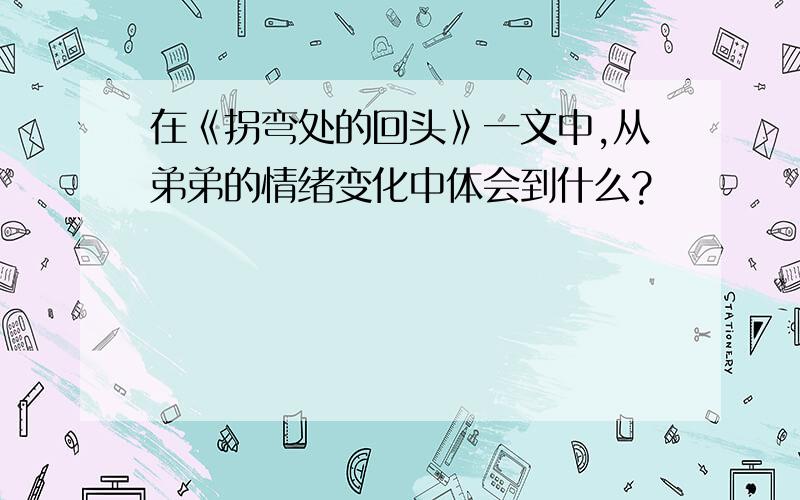 在《拐弯处的回头》一文中,从弟弟的情绪变化中体会到什么?