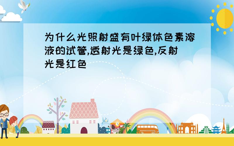 为什么光照射盛有叶绿体色素溶液的试管,透射光是绿色,反射光是红色