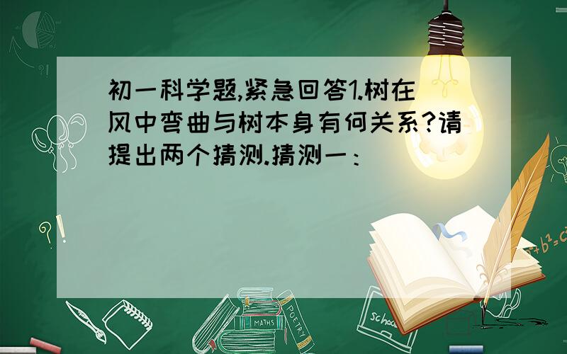 初一科学题,紧急回答1.树在风中弯曲与树本身有何关系?请提出两个猜测.猜测一：_____________________________________猜测二：_______________________________________你能用简单的实验来检验其中一个猜测吗?