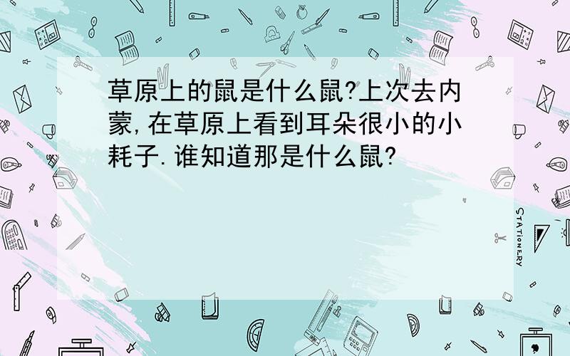 草原上的鼠是什么鼠?上次去内蒙,在草原上看到耳朵很小的小耗子.谁知道那是什么鼠?