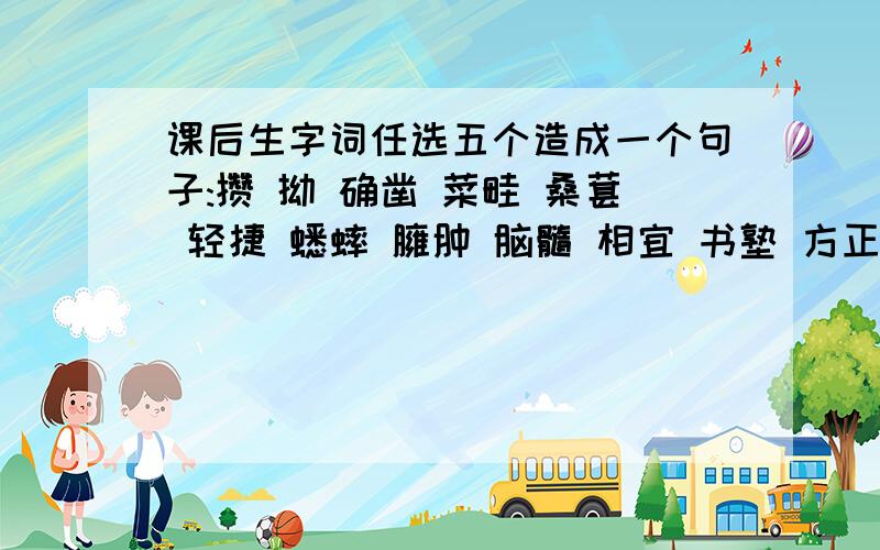 课后生字词任选五个造成一个句子:攒 拗 确凿 菜畦 桑葚 轻捷 蟋蟀 臃肿 脑髓 相宜 书塾 方正 博学 蝉蜕 人迹罕至 人声鼎沸 是任选五个造成一个句子 不是造5个句子 任选五个造成一个不少