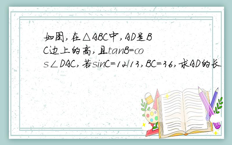 如图,在△ABC中,AD是BC边上的高,且tanB=cos∠DAC,若sinC=12/13,BC=36,求AD的长