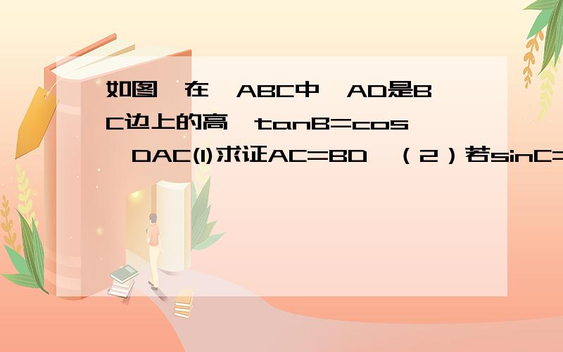 如图,在△ABC中,AD是BC边上的高,tanB=cos∠DAC(1)求证AC=BD,（2）若sinC=12/13,BC=12,求AD的长